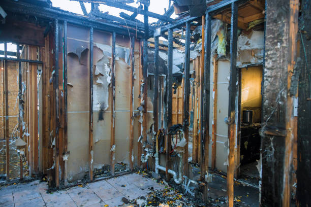 Professional Fire Damage Removal technician working in Aurora, MO